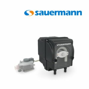 Sauermann (1)